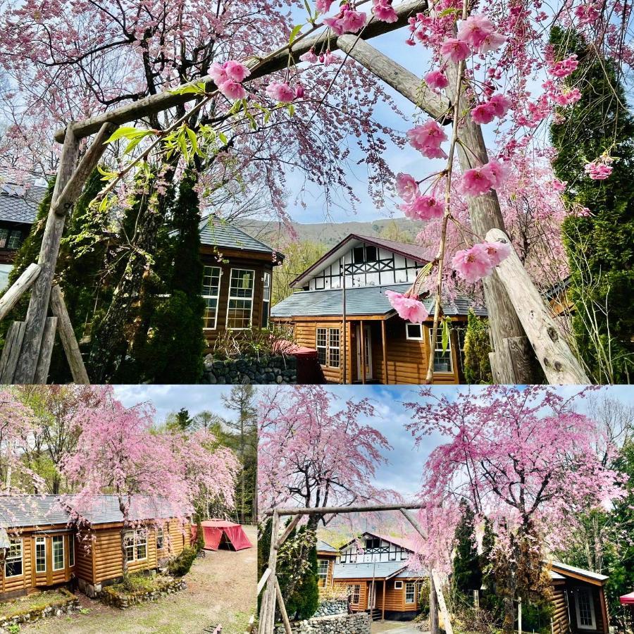 Hakuba Canadian Lodge Exterior photo